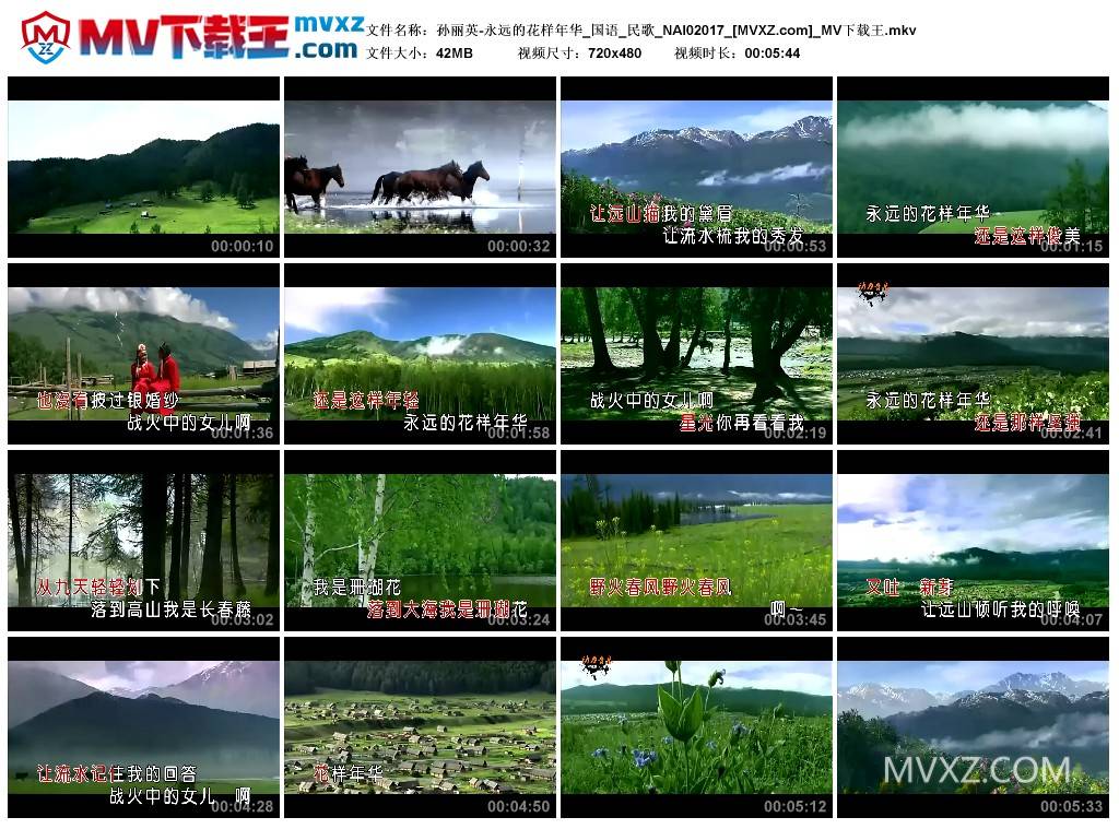 孙丽英-永远的花样年华_国语_民歌_NAI02017